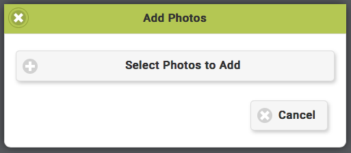 Select community photos.png